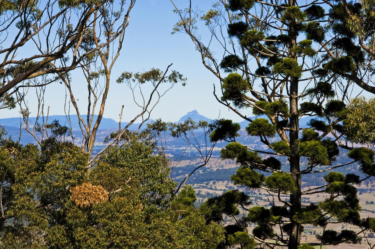Possum Lodge At Cloudhill Estate Mount Tamborine Luaran gambar